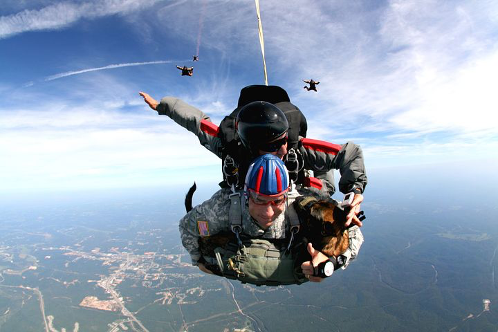 friends and family, skydive, support, dreams, sport